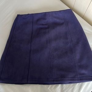 Francescas’s Blue Suede Mini Skirt.